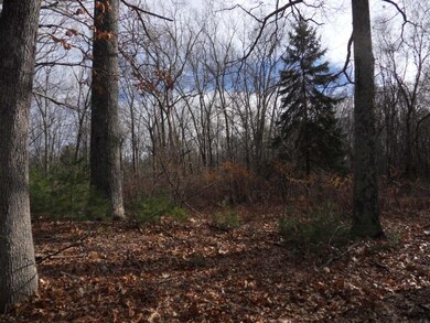 68 Depot St, Douglas, MA 01516 - photo 5