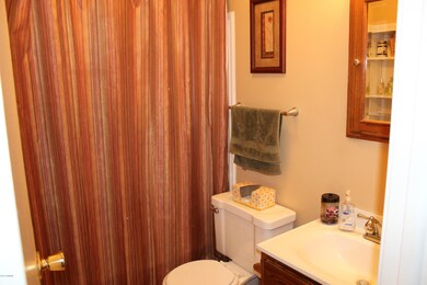 main bathroom.jpg