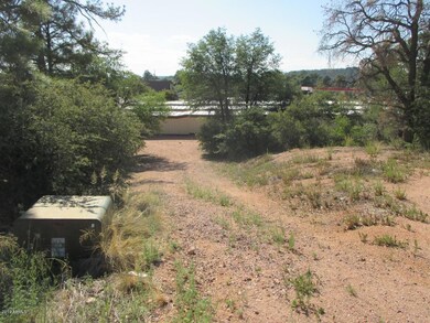 Photo_3