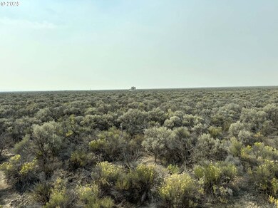 0 Christmas Valley Hwy unit 600, Christmas Valley, OR 97641 - photo 3