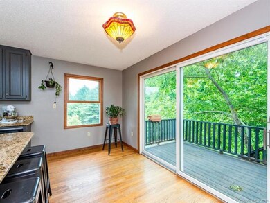 18 Chapel Hill Place, Leicester, NC 28748 - photo 7