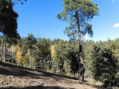 13886 Boulder Ln, Larkspur, CO 80118 - photo 4