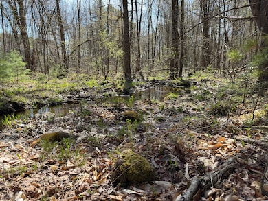 MR7L96C Scarlet Way, Lebanon, ME 04027 - photo 6