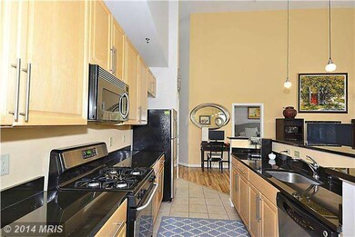 Silverton Condominiums, Silver Spring, MD 20910 - photo 6