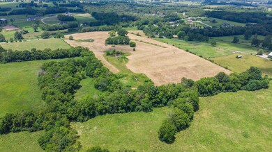 2330 Carpenter Pike, Versailles, KY 40383 - photo 6