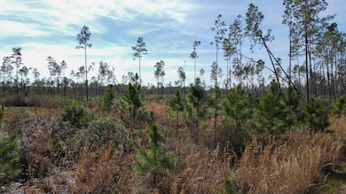 Lot 49 Circle Block Loop, Perry, FL 32348 - photo 4
