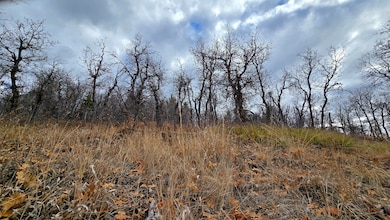 138 E Oak Ridge Dr, Mount Pleasant, UT 84647 - photo 3