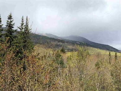 11 White Cap Way unit 7, Waterville Valley, NH 03215 - photo 3