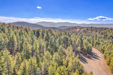 27551 Molly Dr, Richmond Hill Corridor, CO 80433 - photo 5