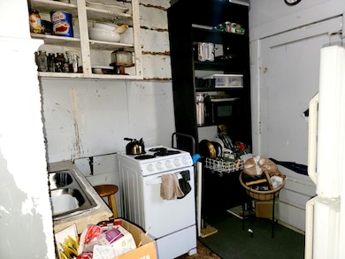 967 Continental St, Detroit, MI 48215 - photo 7