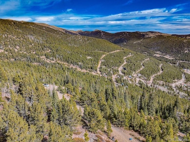 111 Hilltop Rd, Idaho Springs, CO 80452 - photo 3