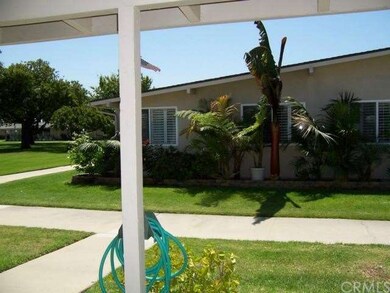 Directly across shows beautiful Palm Trees