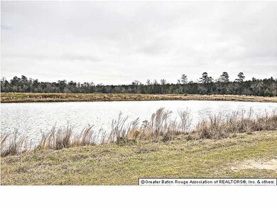 1/3 Acre Waterfront Lot