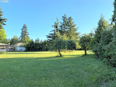 0 1st St, Yoncalla, OR 97499 - photo 2