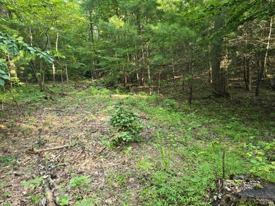 0 Meadors Mill Rd unit 361079, Bedford, VA 24523 - photo 6