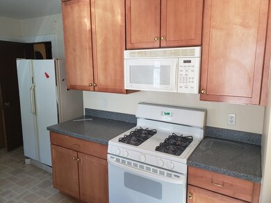 17 Edgecliff Rd unit 1, Watertown, MA 02472 - photo 7