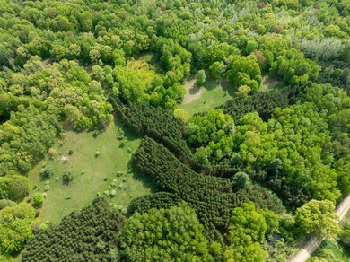 0 S Deer Lake Rd, Reed City, MI 49677 - photo 7