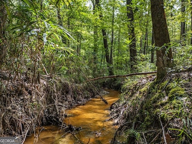 2 Balerma Church Rd, Sparta, GA 31087 - photo 6