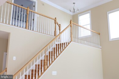 42524 Mandolin St, Chantilly, VA 20152 - photo 4