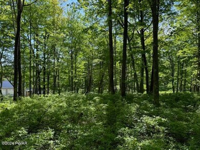 Lot 17 Woodlyn Acres Rd, Berlin Township, PA 18428 - photo 5