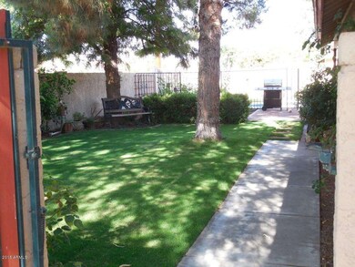 Side Yard 2