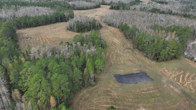 0 Berry Groves Rd, Clermont, FL 34714 - photo 4