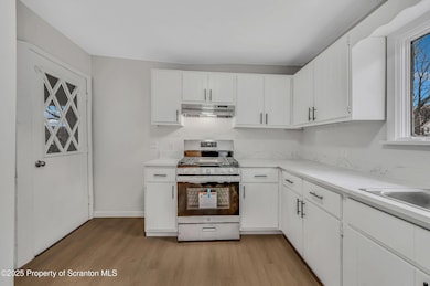 141 Throop St unit 2, Scranton, PA 18508 - photo 6