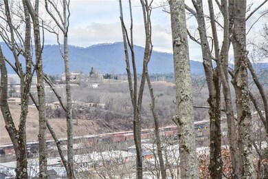 Year Round views of mountains, RAD and French Broad River (winter)