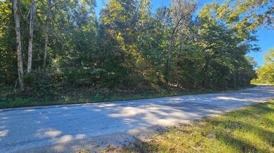 000 Eastwood Hills Block 6 Lot 2, Theodosia, MO 65761 - photo 3