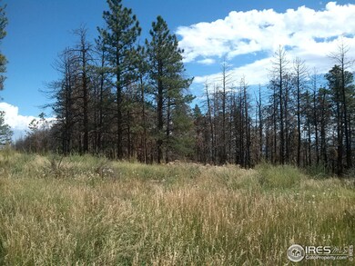 0 Little Whale Rd unit 698616, Bellvue, CO 80512 - photo 4