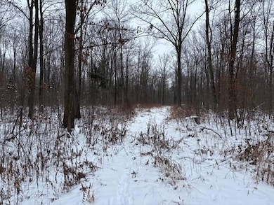 ON Outlaw Rd, Bern, WI 54451 - photo 2