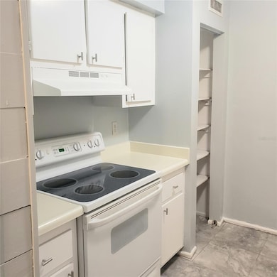 305 E Wellington Ct unit 61, Tampa, FL 33604 - photo 4