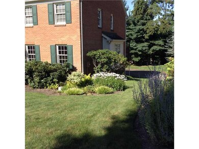 Yard/Garden.