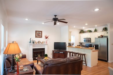 207 Starling Crest, Oxford, MS 38655 - photo 4