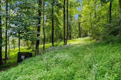 TBD Old Mill Ct, Fancy Gap, VA 24053 - photo 4