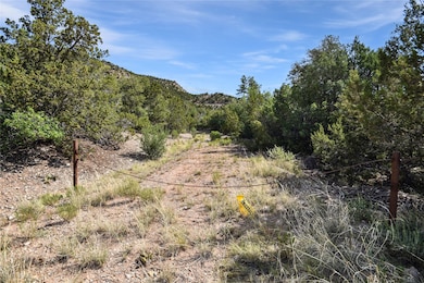 0 Eagle Heights North Tract: 1a1 unit 202503184, Jemez Springs, NM 87025 - photo 3