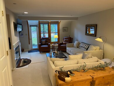 10 Bunker Ln unit 109, Lincoln, NH 03251 - photo 4