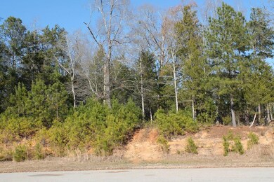 1055 Fleming Lake Ct, Lincolnton, GA 30817 - photo 4