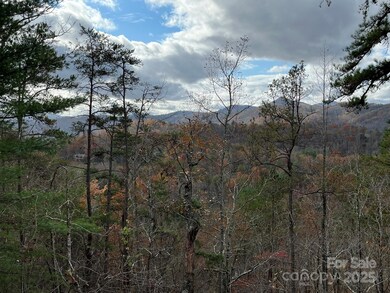 Lot 5 Osprey Mountain Way unit 5, Webster, NC 28779 - photo 3