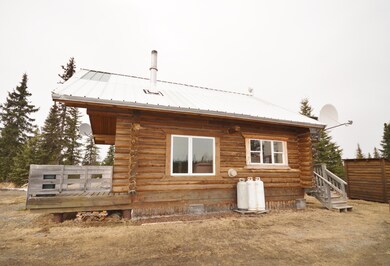 Side View