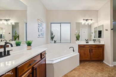 Owner's Soaking Tub & Shower!
