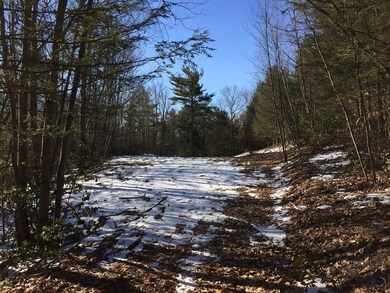 0 Eden Trail Branch Rd unit 72278280, Bernardston, MA 01337 - photo 5