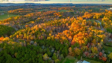 Lot 1 Pine Farm Rd, Lafayette, GA 30728 - photo 3