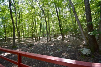 399 Somerset Dr, East Stroudsburg, PA 18301 - photo 5