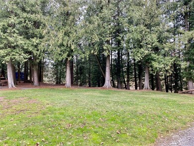 0 E Badger Rd, Everson, WA 98247 - photo 2