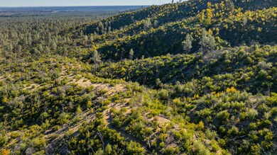 0 Rattlesnake Dr, Redding, CA 96001 - photo 4