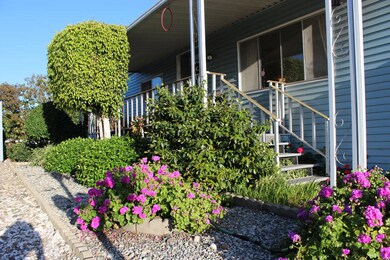Side Garden