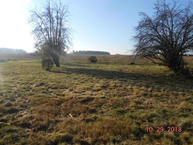 1070 State Route 81, Willshire, OH 45898 - photo 4