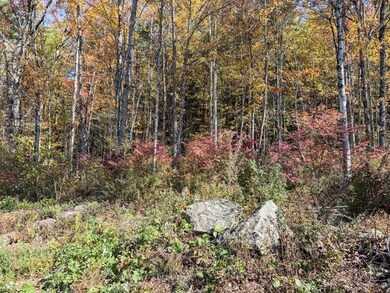 104 S Mountain Rd, Northfield, MA 01360 - photo 7