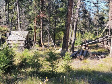 323 Trails End Ln, Helmville, MT 59843 - photo 4